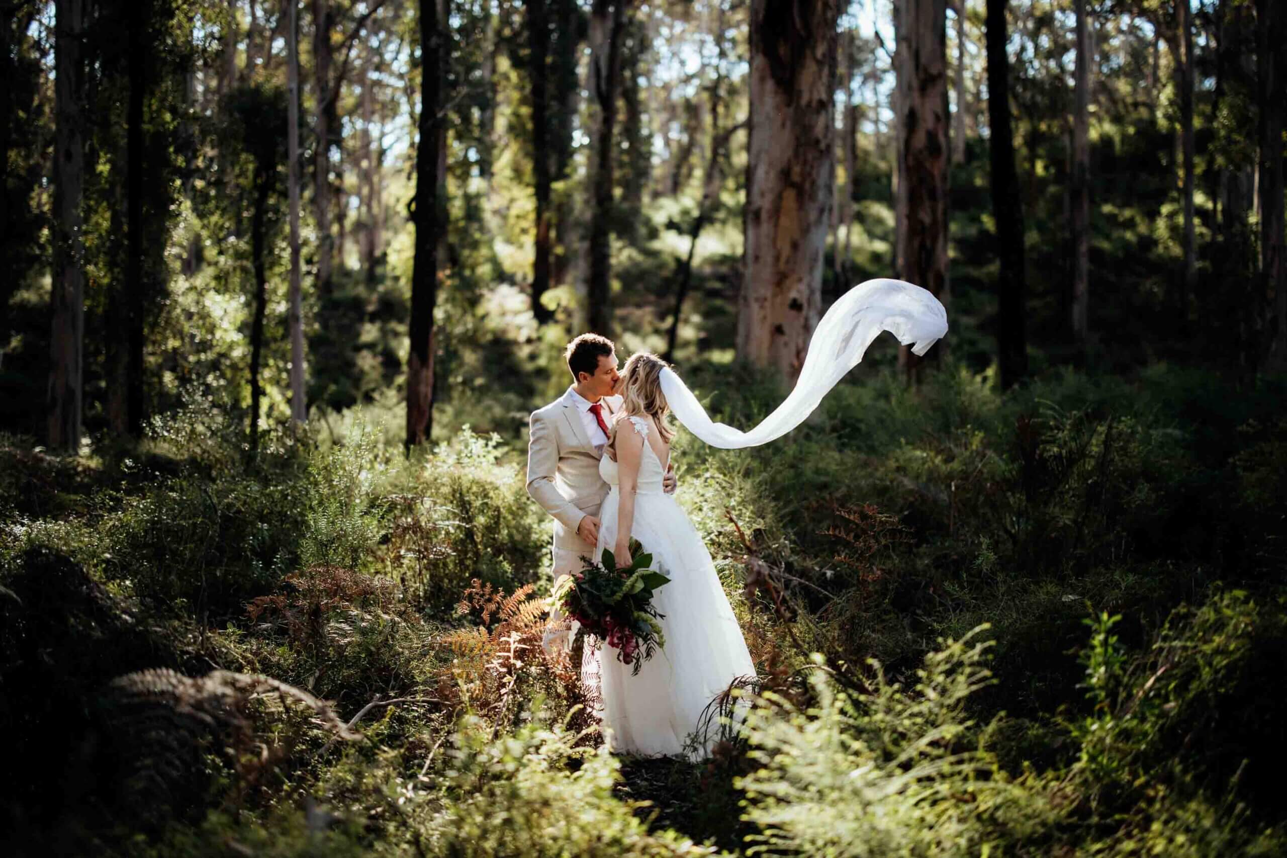Elope in Boranup forest